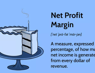 net profit margin